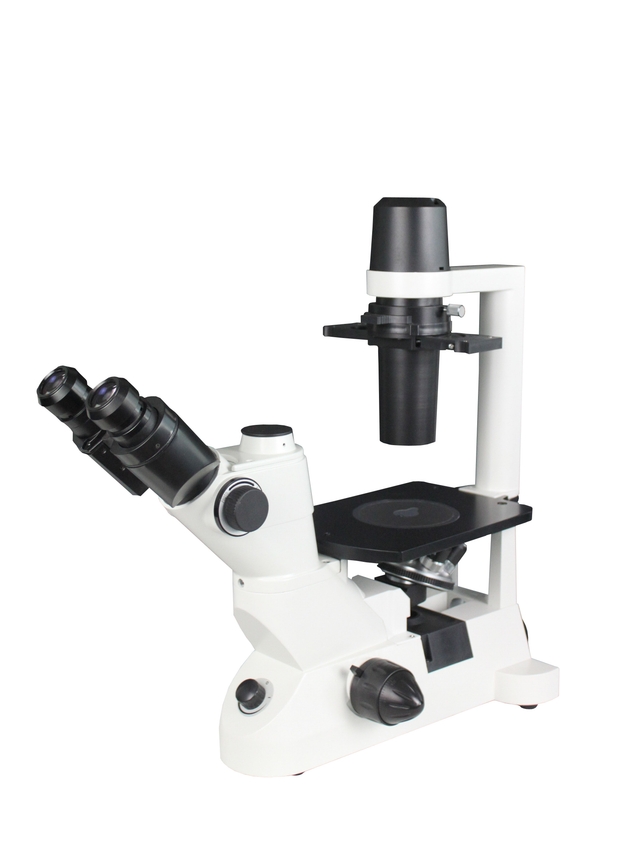 DS800 Inverted Phase Contrast Biological Microscope