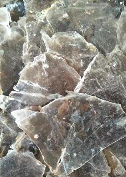 Microscope Application 1