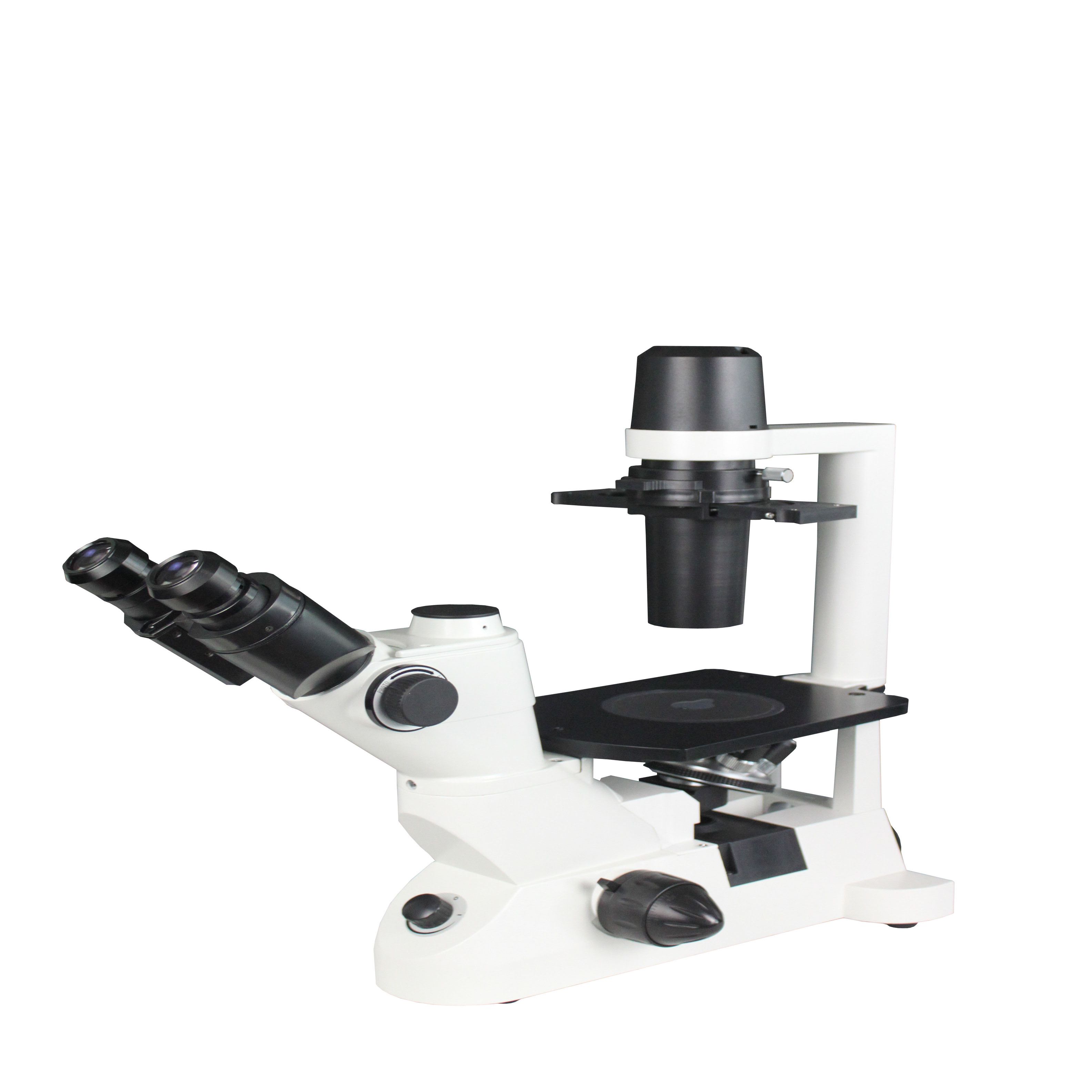 Optical Microscope 